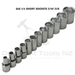Light Slate Gray Blue Point SAE 1/4 Short Sockets 3/16"-5/8 Sockets